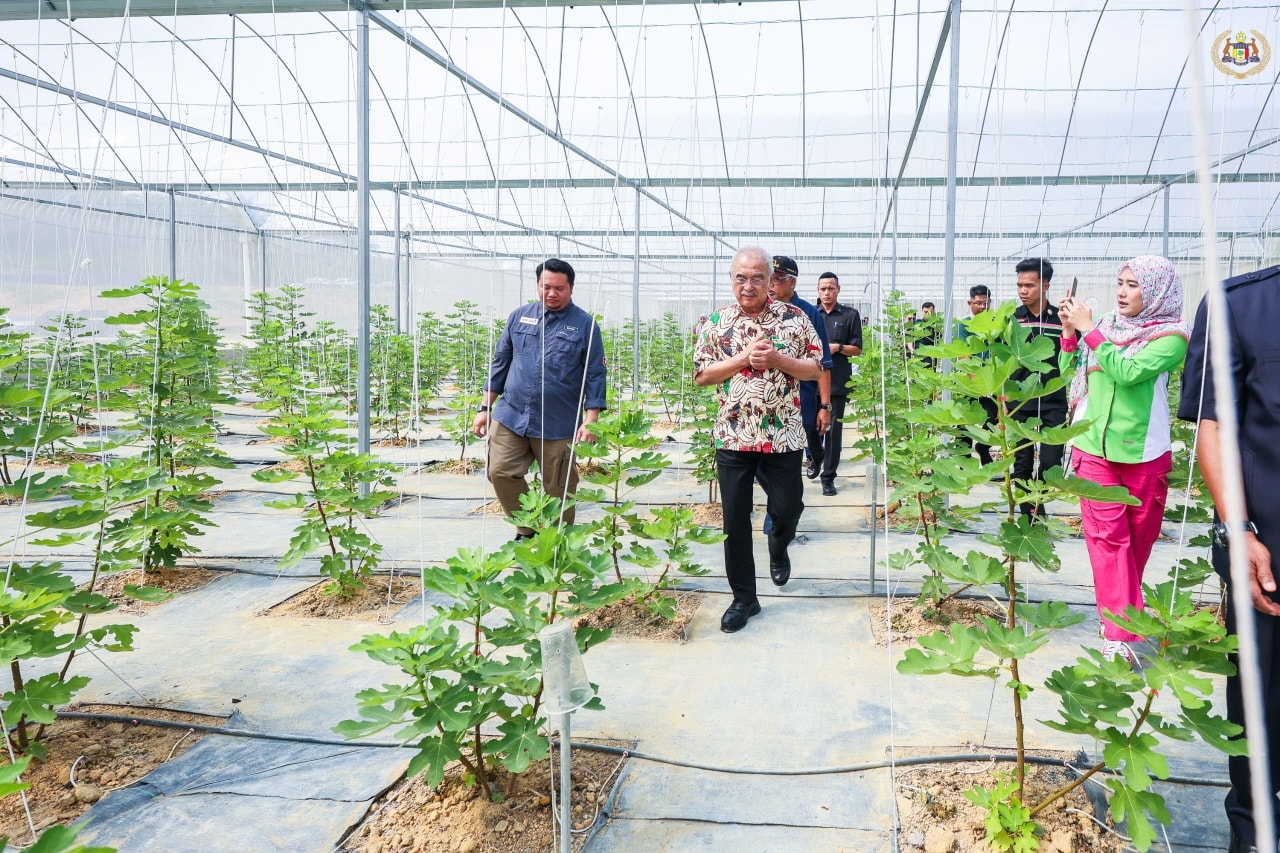 Majlis Perasmian Ladang Buah Tin AKE Benefigs