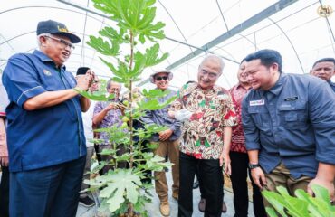 Majlis Perasmian Ladang Buah Tin AKE Benefigs