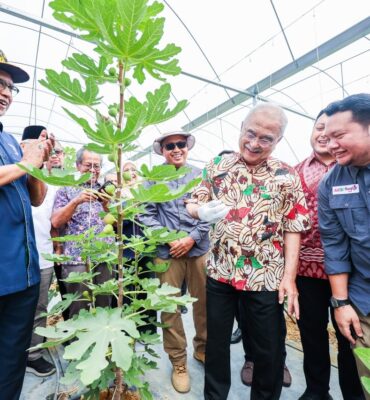 561147423_1280230460783944_5160235544672586267_n Majlis Perasmian Ladang Buah Tin AKE Benefigs