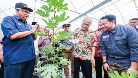 Majlis Perasmian Ladang Buah Tin AKE Benefigs