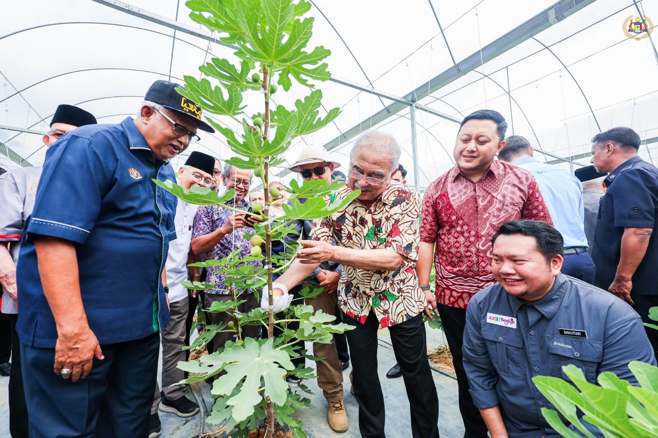 Majlis Perasmian Ladang Buah Tin AKE Benefigs